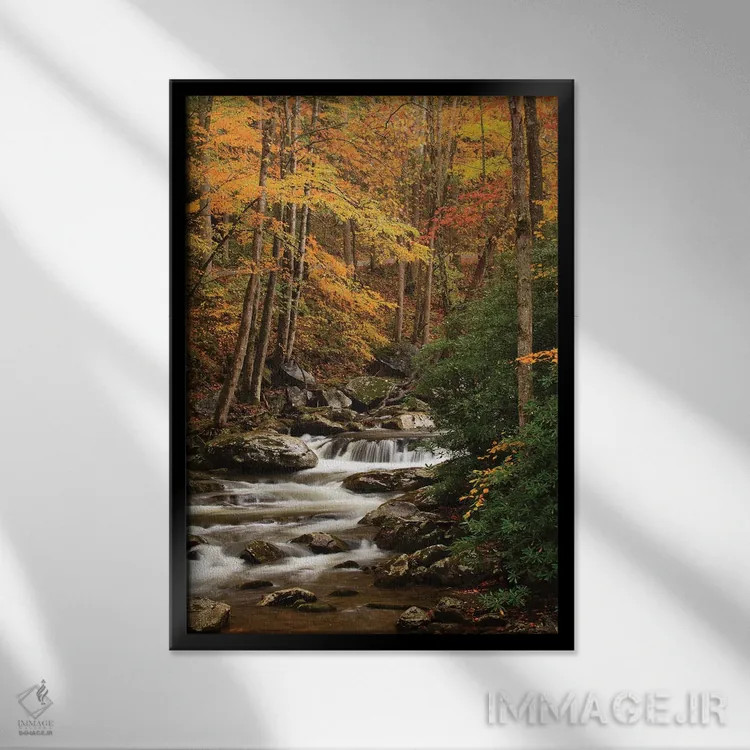 تابلو Tennesse. Fall foliage along a stream in the Smoky Mountains.,آمریکا، تنسی. برگهای پاییزی در امتداد رودخانهای در کوههای اسموکی اثر جوآن ولز - نمای قابدار مشکی