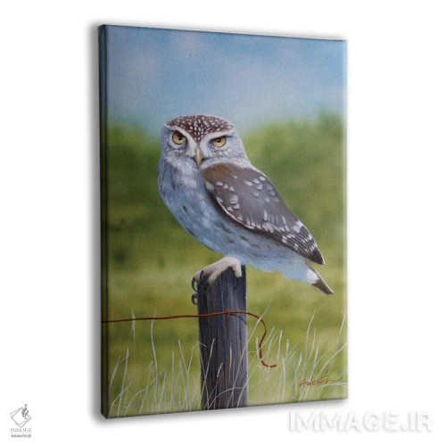 تابلو جغد اول اثر آلن وستون - نمای پرسپکتیو محصول