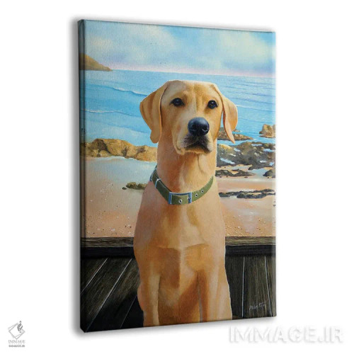 تابلو لابرادور (نژاد سگ) اثر آلن وستون - نمای پرسپکتیو محصول