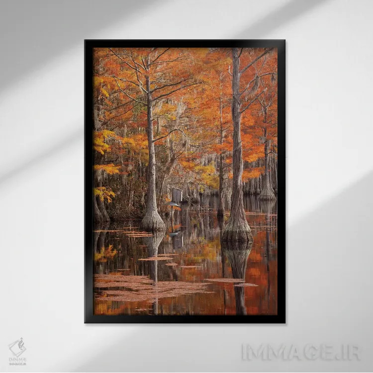 تابلو George Smith State Park, Georgia. Fall cypress trees with wood duck box.,آمریکا، پارک ایالتی جرج اسمیت، جورجیا. درختان سرو پاییزی همراه با جعبه اردک چوبی اثر جوآن ولز - نمای قابدار مشکی