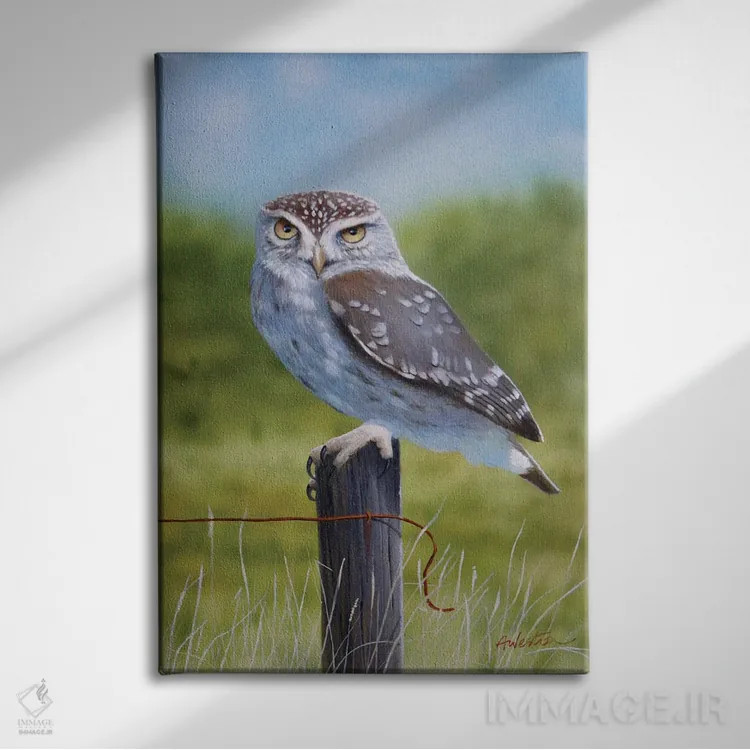 تابلو جغد اول اثر آلن وستون - نمای روبهرو روی دیوار