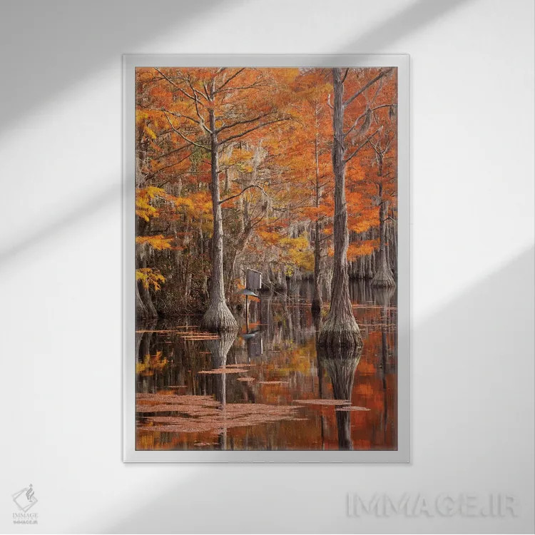تابلو George Smith State Park, Georgia. Fall cypress trees with wood duck box.,آمریکا، پارک ایالتی جرج اسمیت، جورجیا. درختان سرو پاییزی همراه با جعبه اردک چوبی اثر جوآن ولز - نمای قابدار سفید