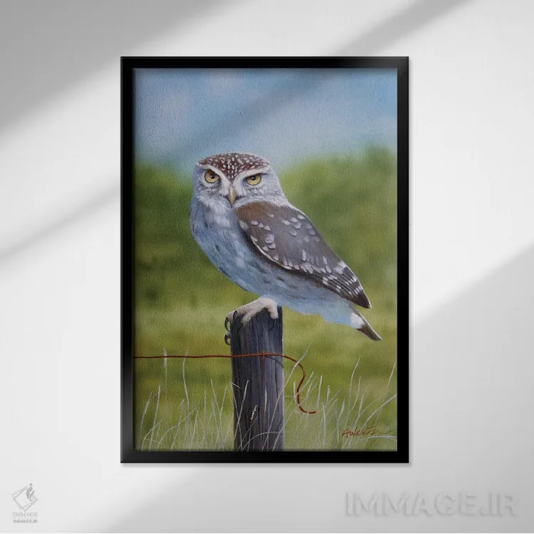 تابلو جغد اول اثر آلن وستون - نمای قابدار مشکی