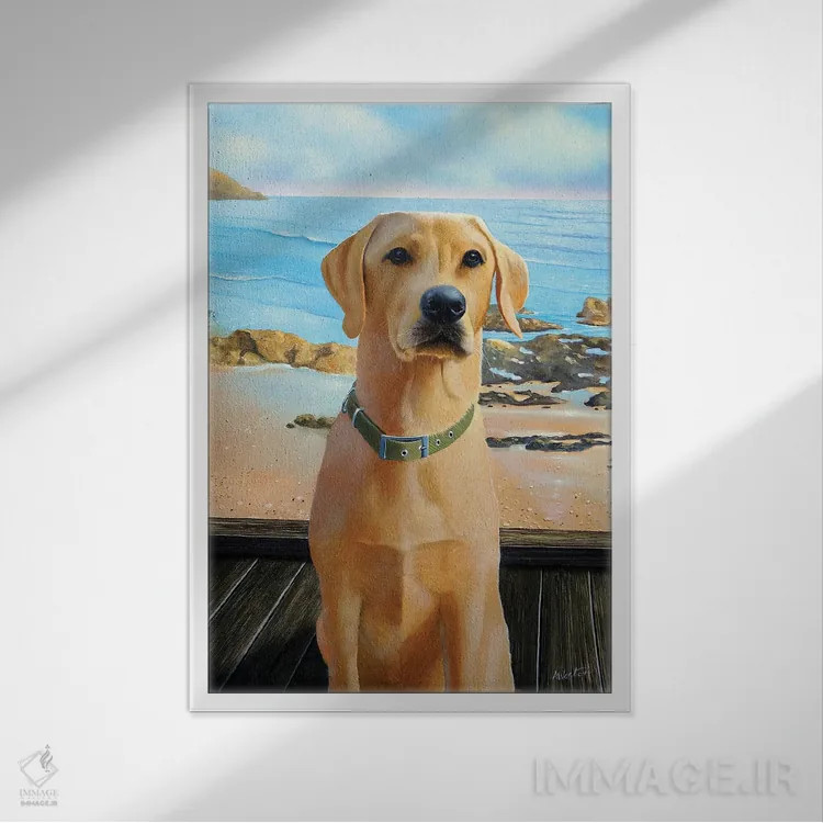 تابلو لابرادور (نژاد سگ) اثر آلن وستون - نمای قابدار سفید