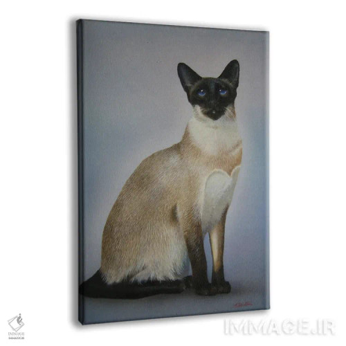 تابلو گربههای سیامی اثر آلن وستون - نمای پرسپکتیو محصول
