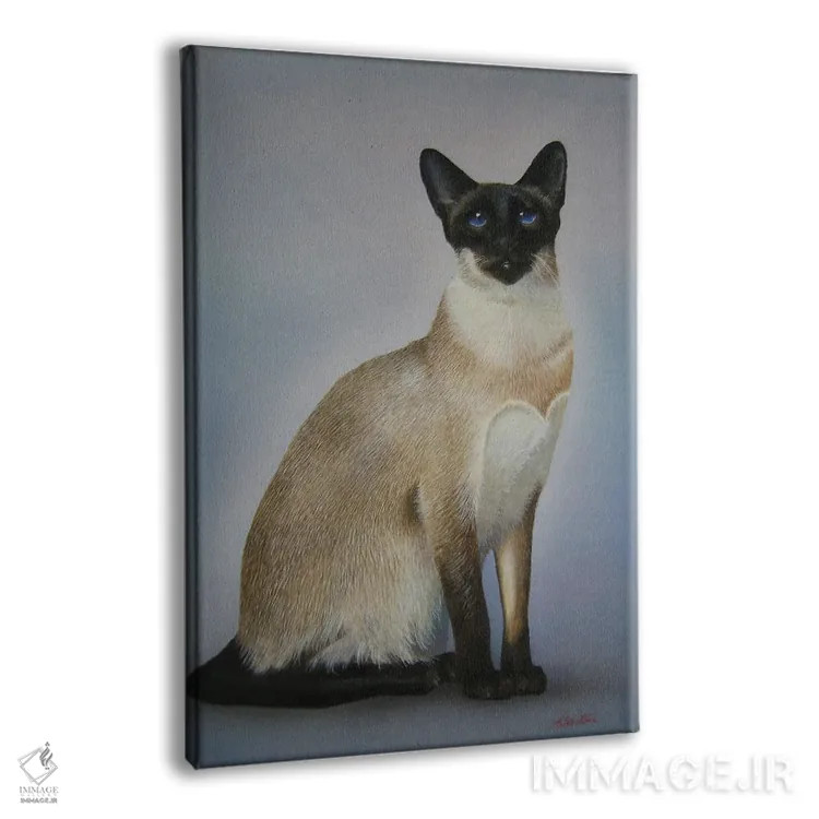 تابلو گربههای سیامی اثر آلن وستون - نمای پرسپکتیو محصول