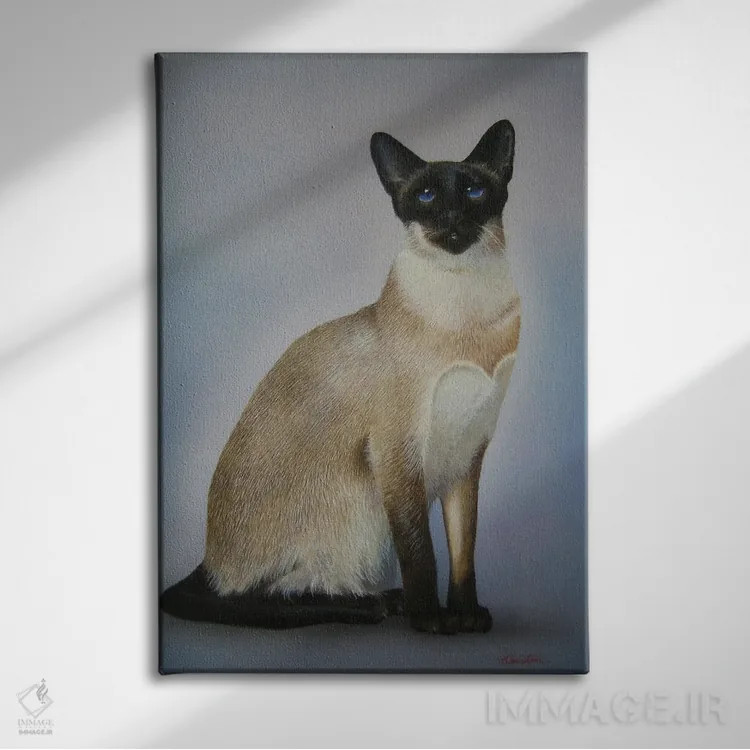 تابلو گربههای سیامی اثر آلن وستون - نمای روبهرو روی دیوار