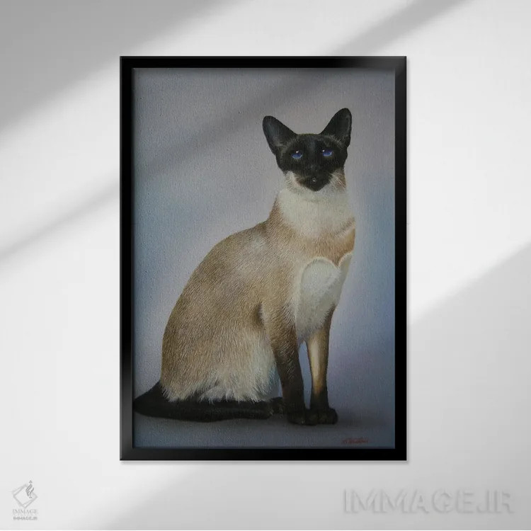 تابلو گربههای سیامی اثر آلن وستون - نمای قابدار مشکی