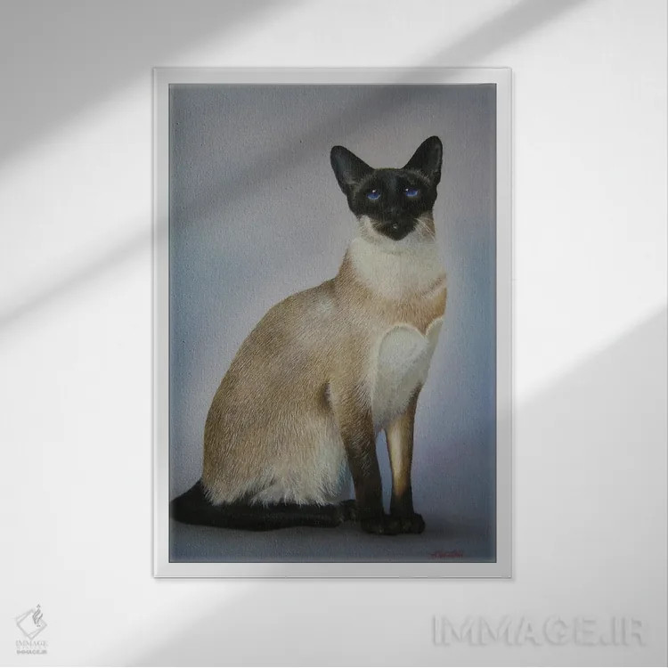 تابلو گربههای سیامی اثر آلن وستون - نمای قابدار سفید