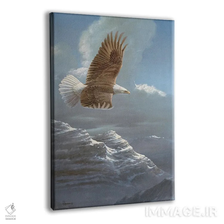تابلو آسمانهای گسترده عقاب سرسفید اثر اندرسون آرت (گروه هنری) - نمای پرسپکتیو محصول