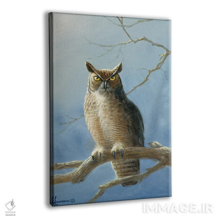 تابلو جغد دیدهبان اثر اندرسون آرت (گروه هنری) - نمای پرسپکتیو محصول