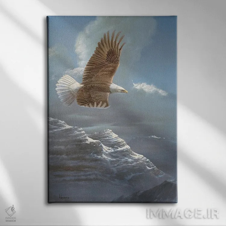 تابلو آسمانهای گسترده عقاب سرسفید اثر اندرسون آرت (گروه هنری) - نمای روبهرو روی دیوار