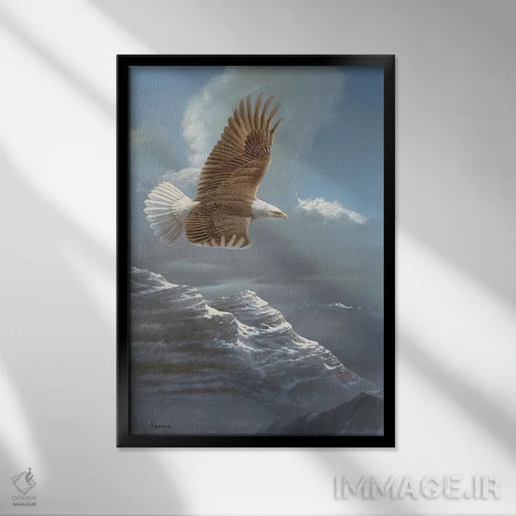 تابلو آسمانهای گسترده عقاب سرسفید اثر اندرسون آرت (گروه هنری) - نمای قابدار مشکی