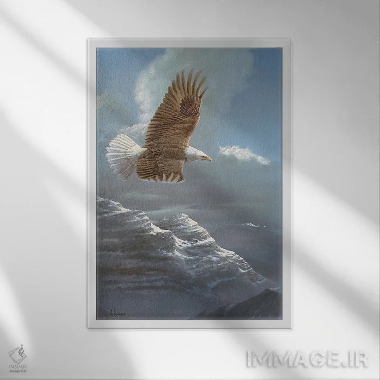 تابلو آسمانهای گسترده عقاب سرسفید اثر اندرسون آرت (گروه هنری) - نمای قابدار سفید