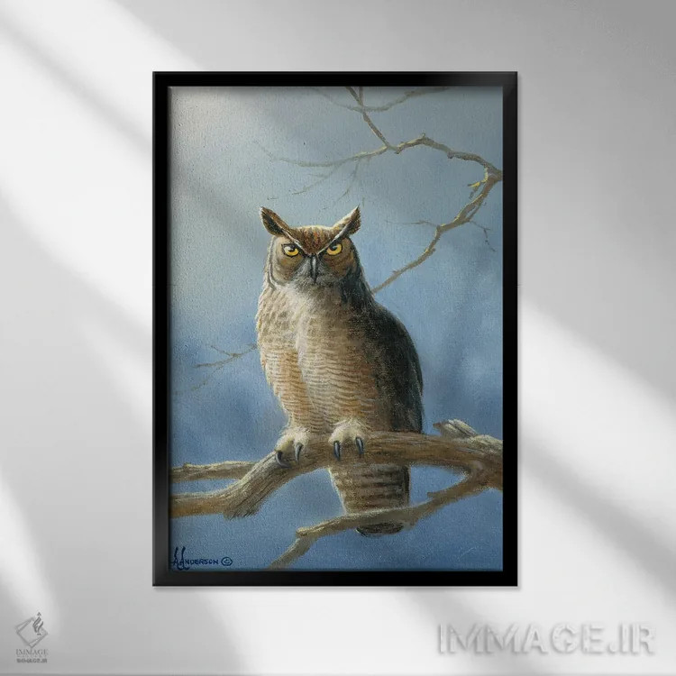 تابلو جغد دیدهبان اثر اندرسون آرت (گروه هنری) - نمای قابدار مشکی