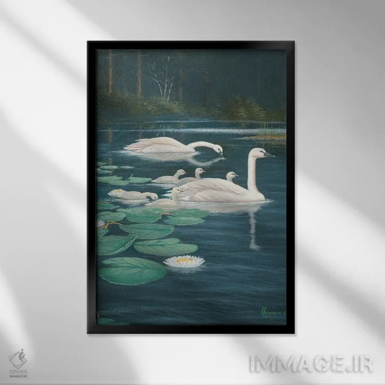 تابلو گردش خانوادگی قوها اثر اندرسون آرت (گروه هنری) - نمای قابدار مشکی