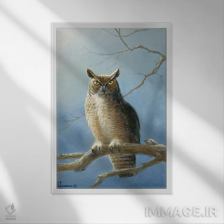 تابلو جغد دیدهبان اثر اندرسون آرت (گروه هنری) - نمای قابدار سفید