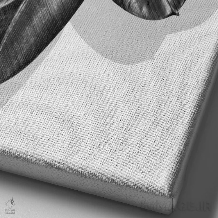 تابلو ما در سیاه و سفید خرد میشویم اثر آدام پریستر - نمای نزدیک بافت بوم