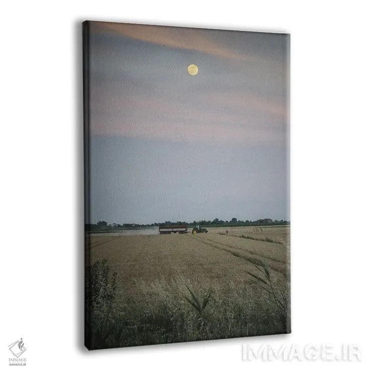 تابلو دلتا II اثر آلساندرو پاسرینی - نمای پرسپکتیو محصول