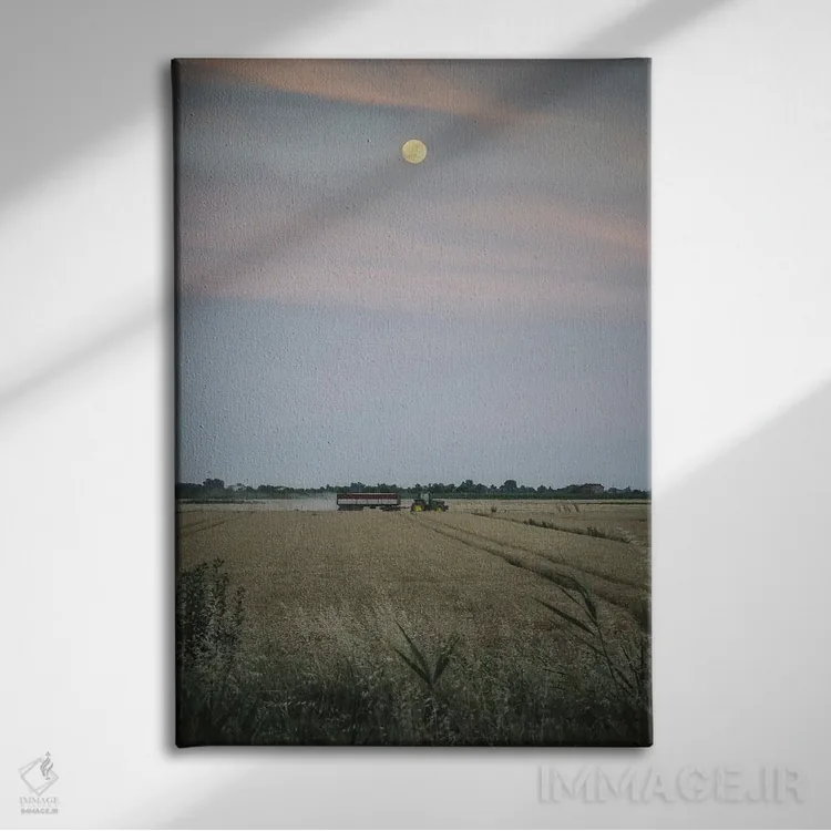 تابلو دلتا II اثر آلساندرو پاسرینی - نمای روبهرو روی دیوار