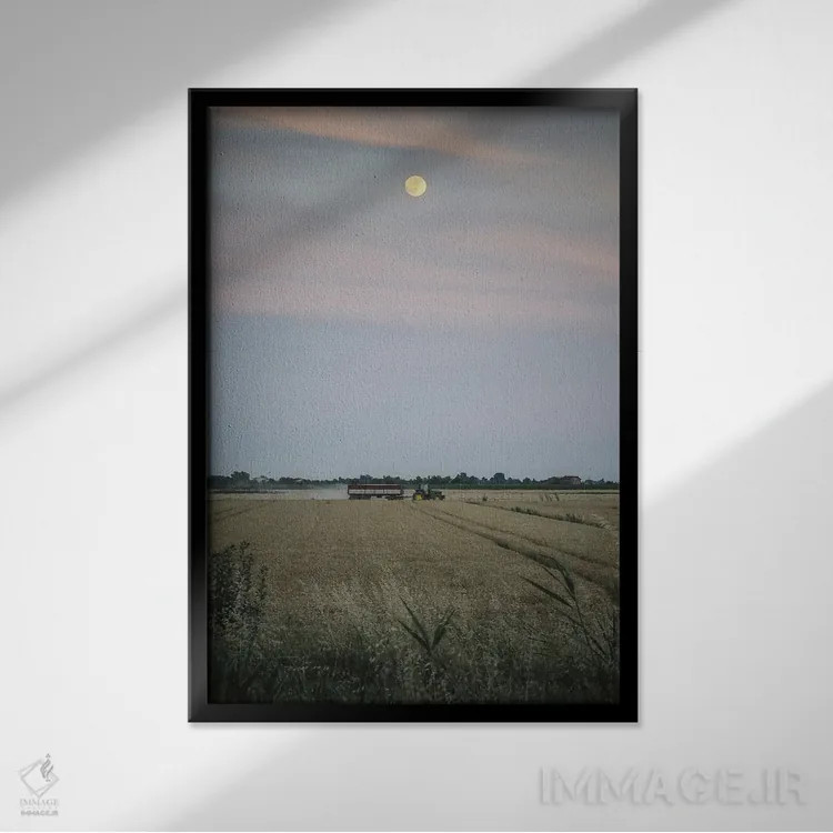 تابلو دلتا II اثر آلساندرو پاسرینی - نمای قابدار مشکی