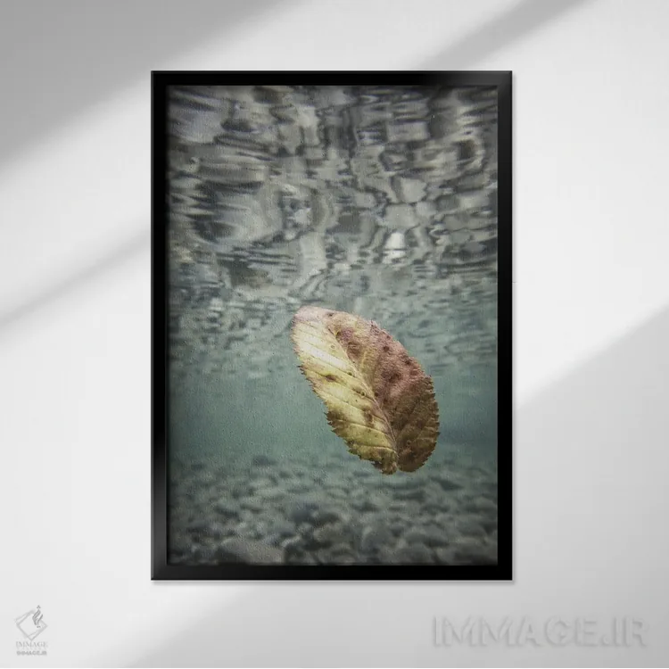 تابلو برگها II اثر آلساندرو پاسرینی - نمای قابدار مشکی