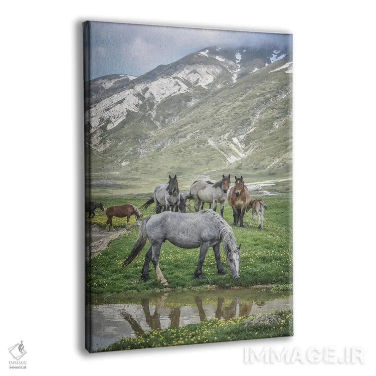 تابلو تبت کوچک I اثر آلساندرو پاسرینی - نمای پرسپکتیو محصول