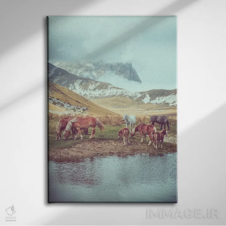 تابلو تبت کوچک II اثر آلساندرو پاسرینی - نمای روبهرو روی دیوار