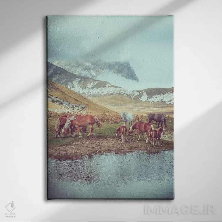 تابلو تبت کوچک II اثر آلساندرو پاسرینی - نمای روبهرو روی دیوار