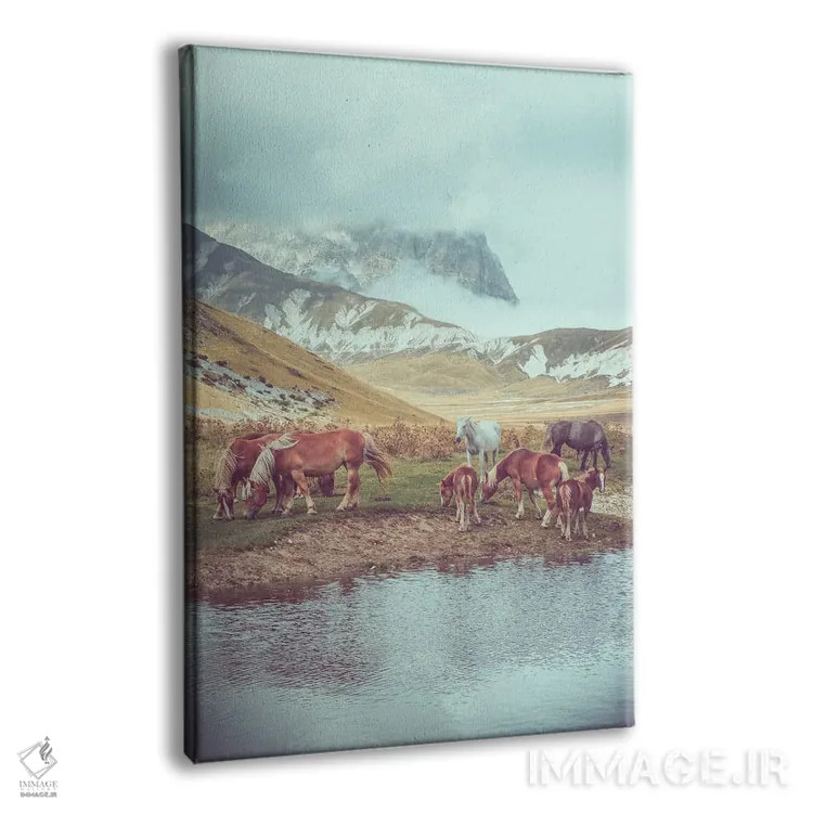 تابلو تبت کوچک II اثر آلساندرو پاسرینی - نمای پرسپکتیو محصول