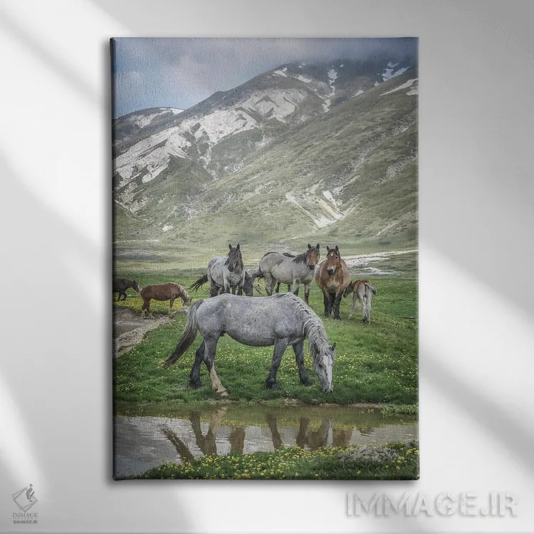 تابلو تبت کوچک I اثر آلساندرو پاسرینی - نمای روبهرو روی دیوار