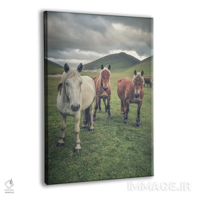 تابلو تبت کوچک VII اثر آلساندرو پاسرینی - نمای پرسپکتیو محصول