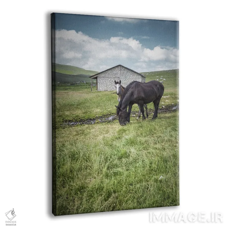 تابلو تبت کوچک XIV اثر آلساندرو پاسرینی - نمای پرسپکتیو محصول