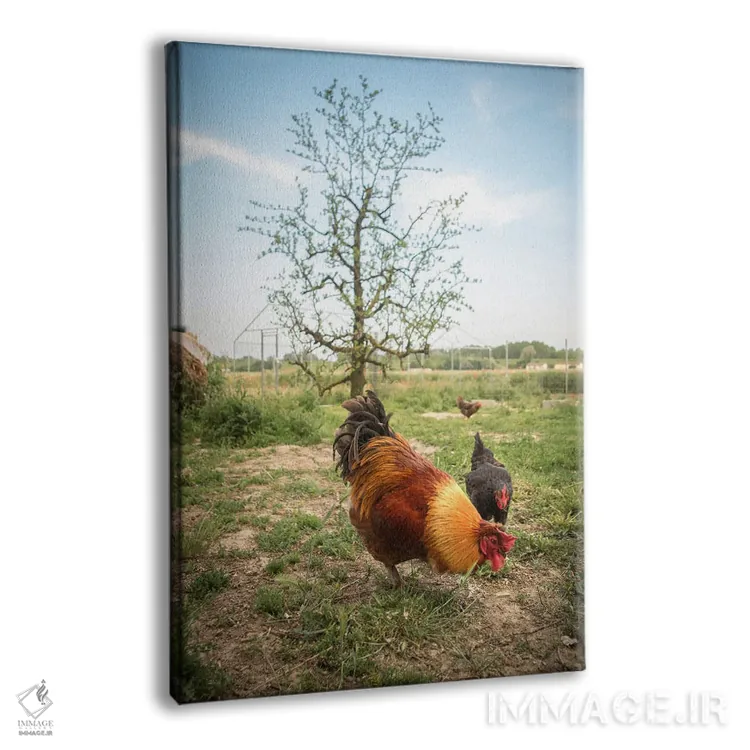 تابلو آلیس I اثر آلساندرو پاسرینی - نمای پرسپکتیو محصول