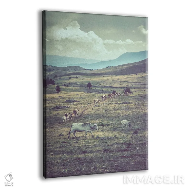 تابلو تبت کوچک XVIII اثر آلساندرو پاسرینی - نمای پرسپکتیو محصول