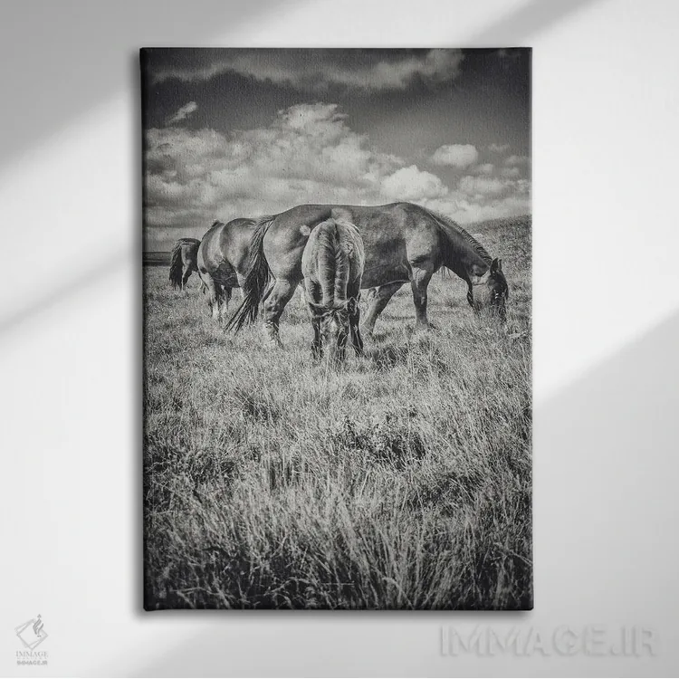 تابلو تبت کوچک XIII اثر آلساندرو پاسرینی - نمای روبهرو روی دیوار