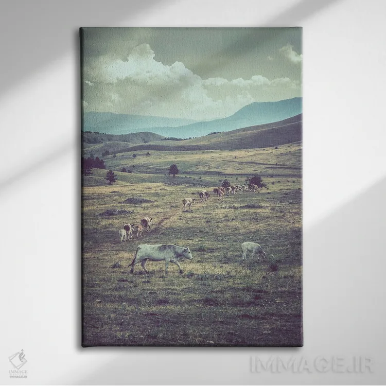 تابلو تبت کوچک XVIII اثر آلساندرو پاسرینی - نمای روبهرو روی دیوار