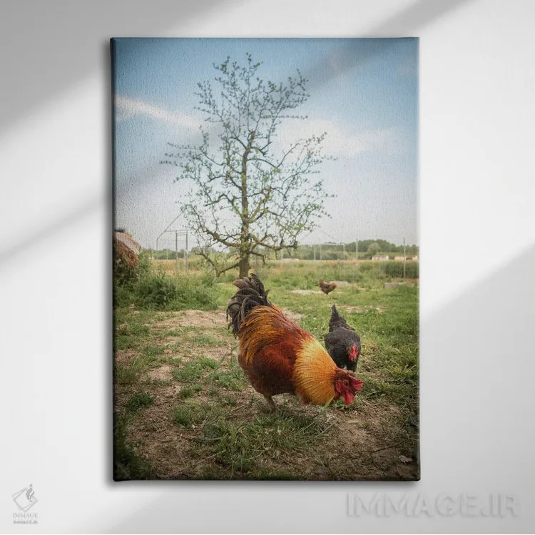 تابلو آلیس I اثر آلساندرو پاسرینی - نمای روبهرو روی دیوار