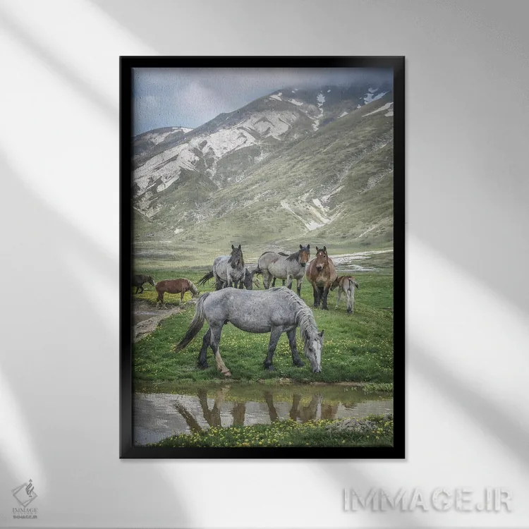 تابلو تبت کوچک I اثر آلساندرو پاسرینی - نمای قابدار مشکی
