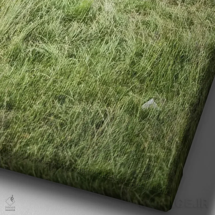 تابلو تبت کوچک XIV اثر آلساندرو پاسرینی - نمای نزدیک بافت بوم