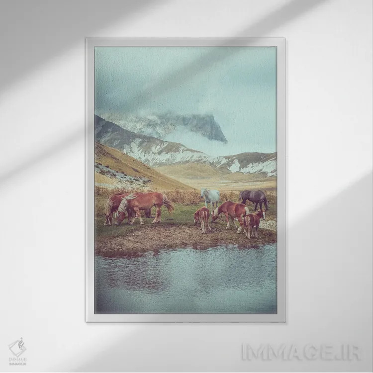 تابلو تبت کوچک II اثر آلساندرو پاسرینی - نمای قابدار سفید