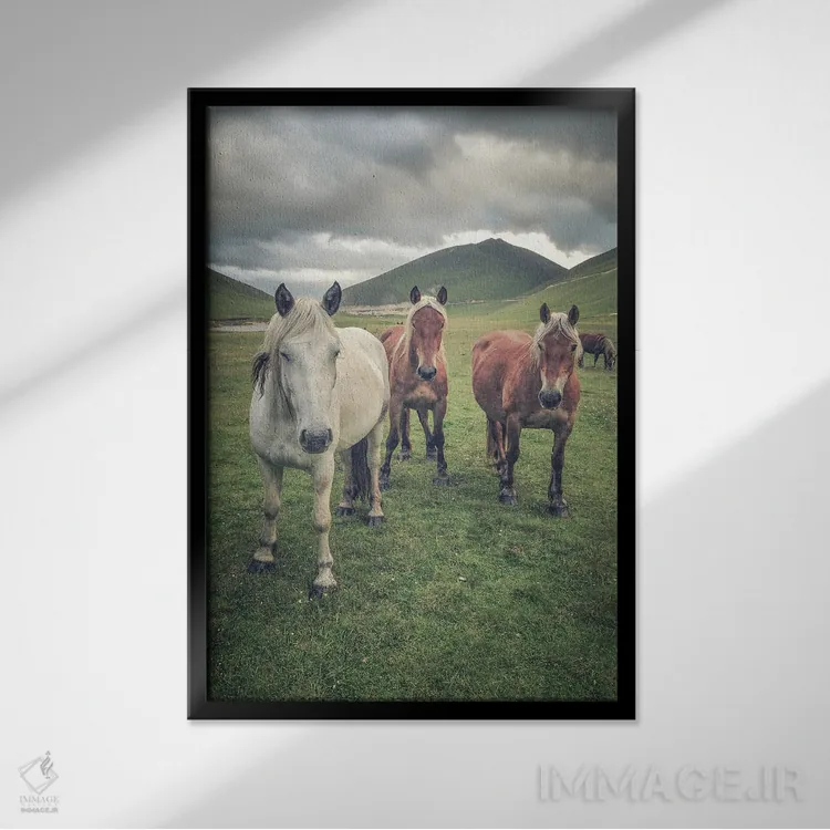 تابلو تبت کوچک VII اثر آلساندرو پاسرینی - نمای قابدار مشکی