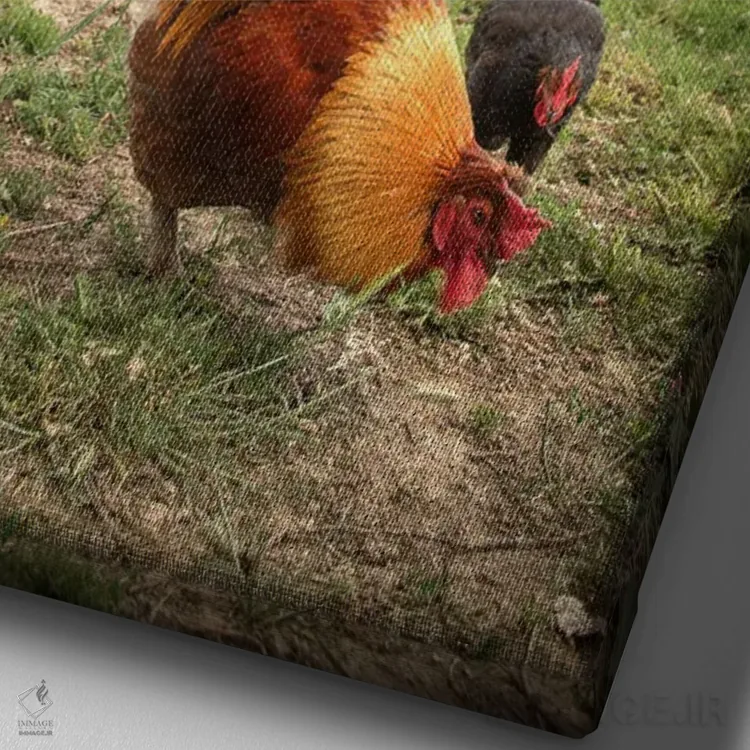 تابلو آلیس I اثر آلساندرو پاسرینی - نمای نزدیک بافت بوم