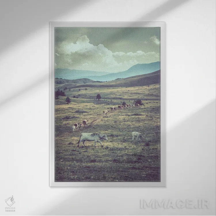 تابلو تبت کوچک XVIII اثر آلساندرو پاسرینی - نمای قابدار سفید