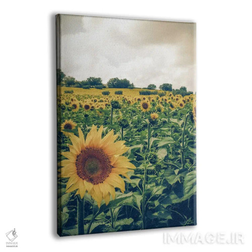 تابلو آبروتزو III (منطقهای در ایتالیا) اثر آلساندرو پاسرینی - نمای پرسپکتیو محصول