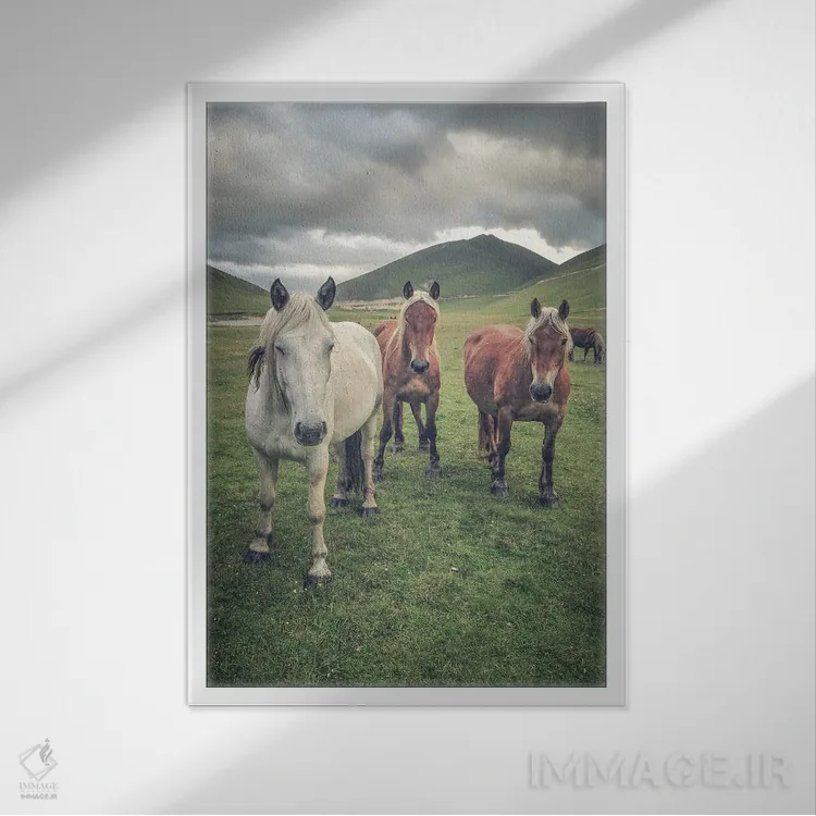 تابلو تبت کوچک VII اثر آلساندرو پاسرینی - نمای قابدار سفید