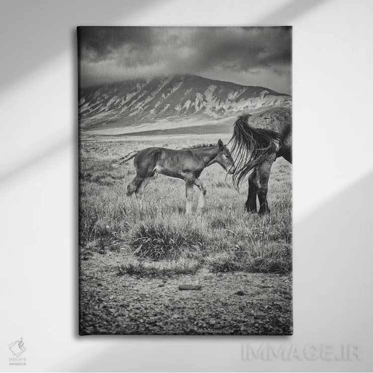 تابلو تبت کوچک XXII اثر آلساندرو پاسرینی - نمای روبهرو روی دیوار