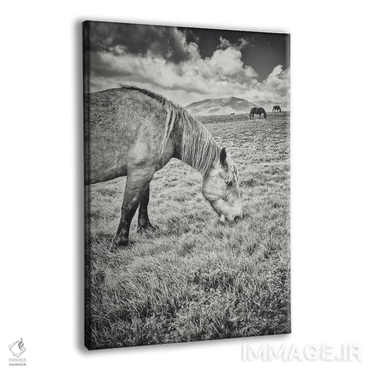 تابلو تبت کوچک XXIII اثر آلساندرو پاسرینی - نمای پرسپکتیو محصول