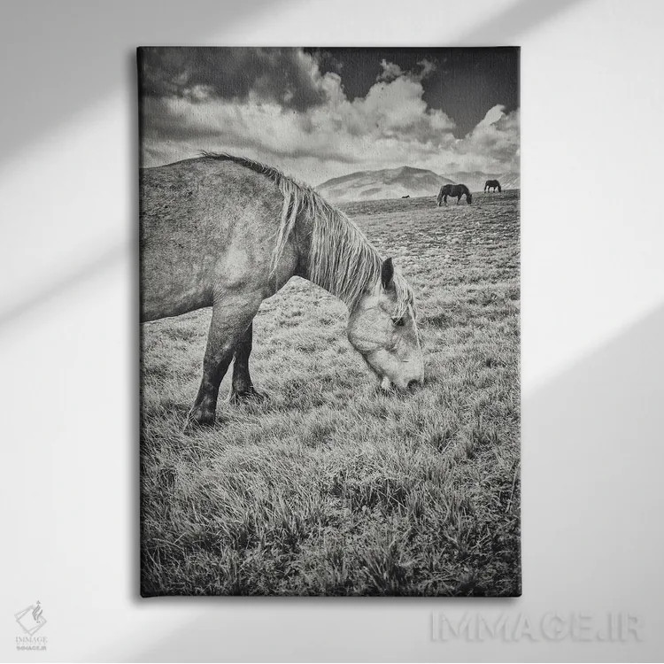 تابلو تبت کوچک XXIII اثر آلساندرو پاسرینی - نمای روبهرو روی دیوار