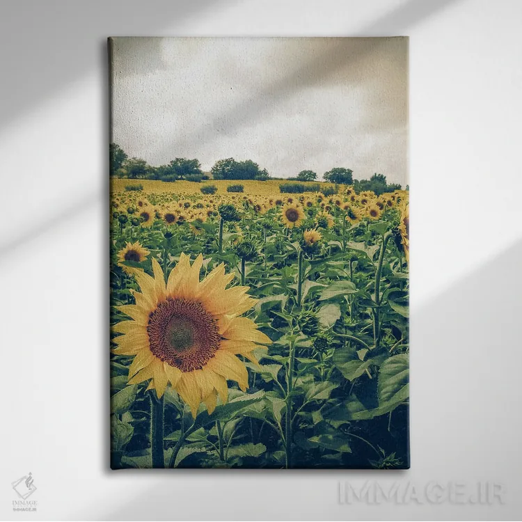 تابلو آبروتزو III (منطقهای در ایتالیا) اثر آلساندرو پاسرینی - نمای روبهرو روی دیوار